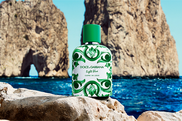 Dolce & Gabbana Collectors' Edition
