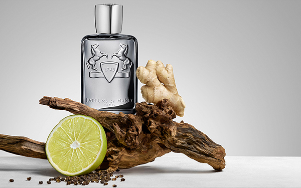 Castley by Parfums de Marly